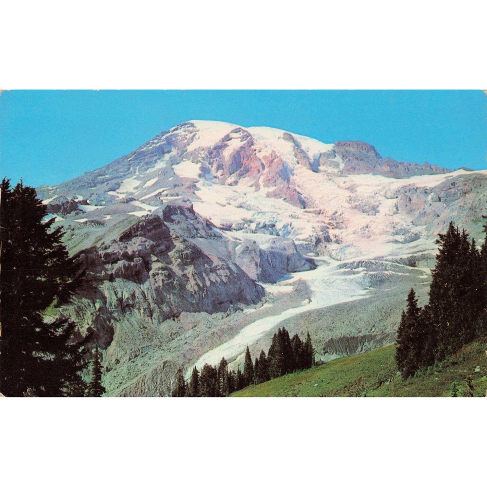 Mount Rainier WA Washington Postcard 1953 Glacier Vista Nisqually Dexter Press - Picture 1 of 2